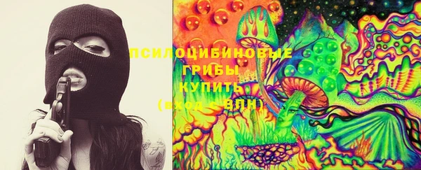 молекула духа Верхний Тагил