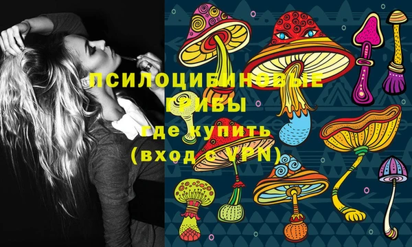 молекула духа Верхний Тагил